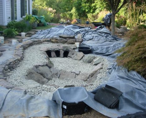 the-aesthetics-of-pond-liners
